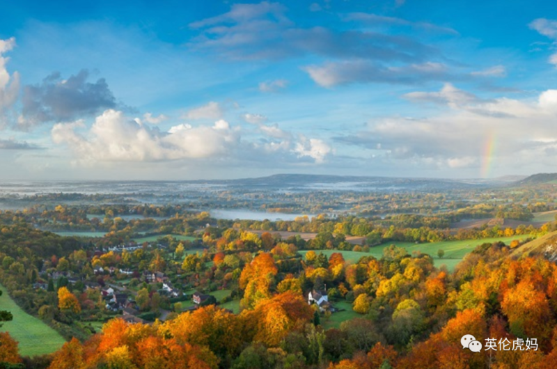 最美学区萨里郡